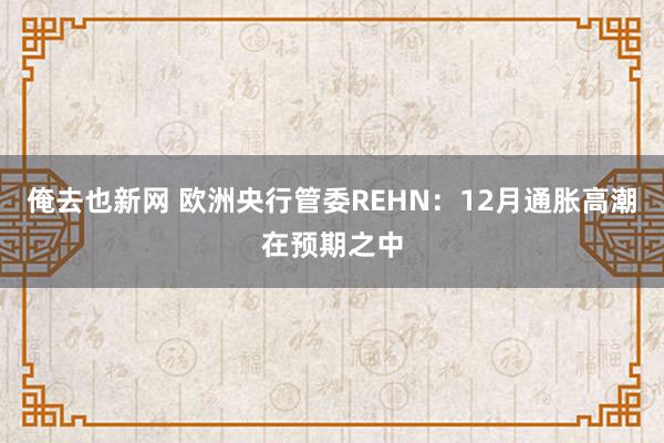 俺去也新网 欧洲央行管委REHN：12月通胀高潮在预期之中