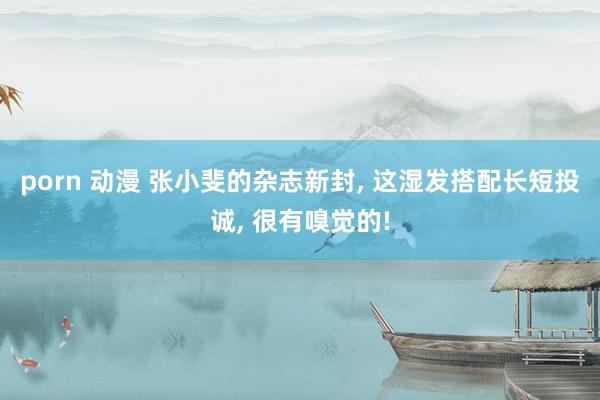 porn 动漫 张小斐的杂志新封， 这湿发搭配长短投诚， 很有嗅觉的!