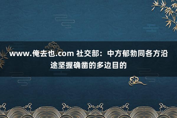 www.俺去也.com 社交部：中方郁勃同各方沿途坚握确凿的多边目的