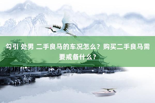 勾引 处男 二手良马的车况怎么？购买二手良马需要戒备什么？