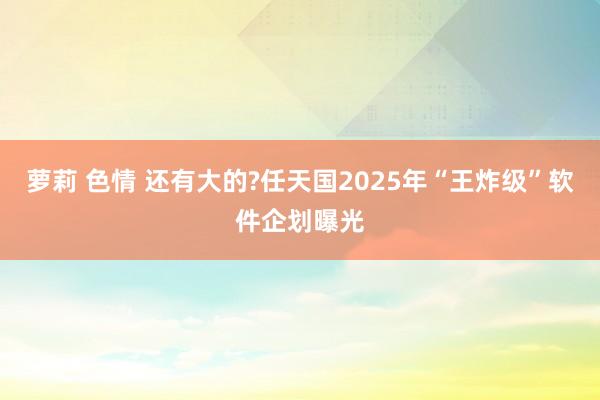 萝莉 色情 还有大的?任天国2025年“王炸级”软件企划曝光