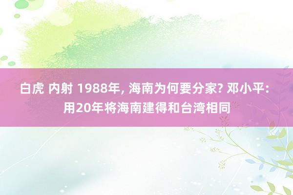 白虎 内射 1988年， 海南为何要分家? 邓小平: 用20年将海南建得和台湾相同