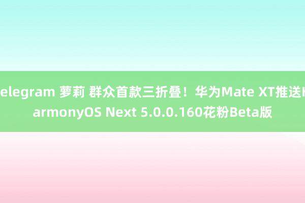 telegram 萝莉 群众首款三折叠！华为Mate XT推送HarmonyOS Next 5.0.0.160花粉Beta版