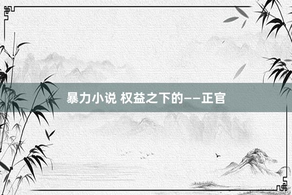 暴力小说 权益之下的——正官