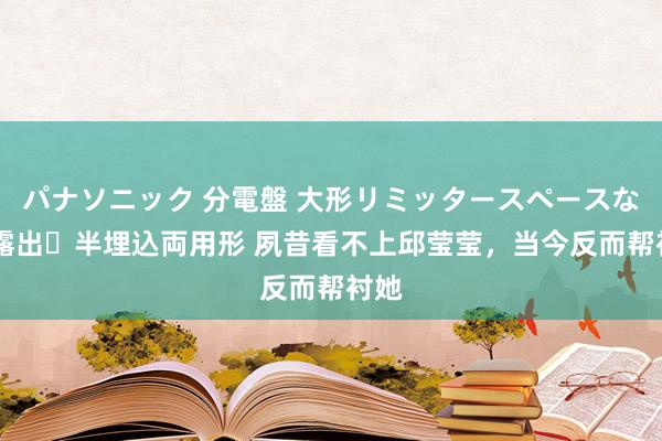 パナソニック 分電盤 大形リミッタースペースなし 露出・半埋込両用形 夙昔看不上邱莹莹，当今反而帮衬她